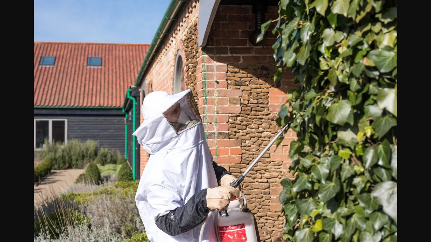 Professional pest control service in Port Deposit, Maryland waterfront area