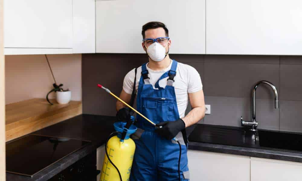 Professional pest control service in Rising Sun, Maryland